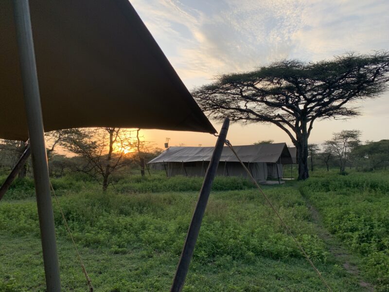 Mobile camp in the Serengeti at dawn