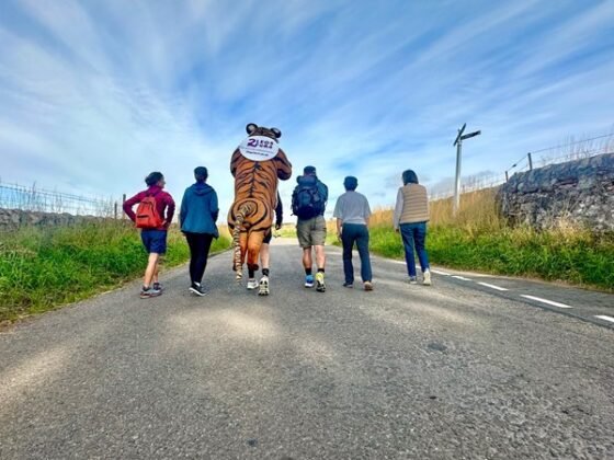 Paul Goldstein Tiger walk