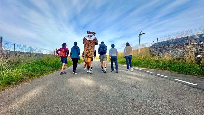 Paul Goldstein Tiger walk
