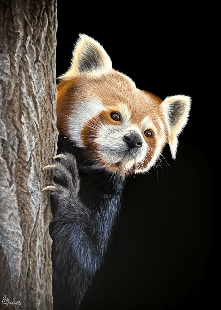 Artwork: Maxine Davies