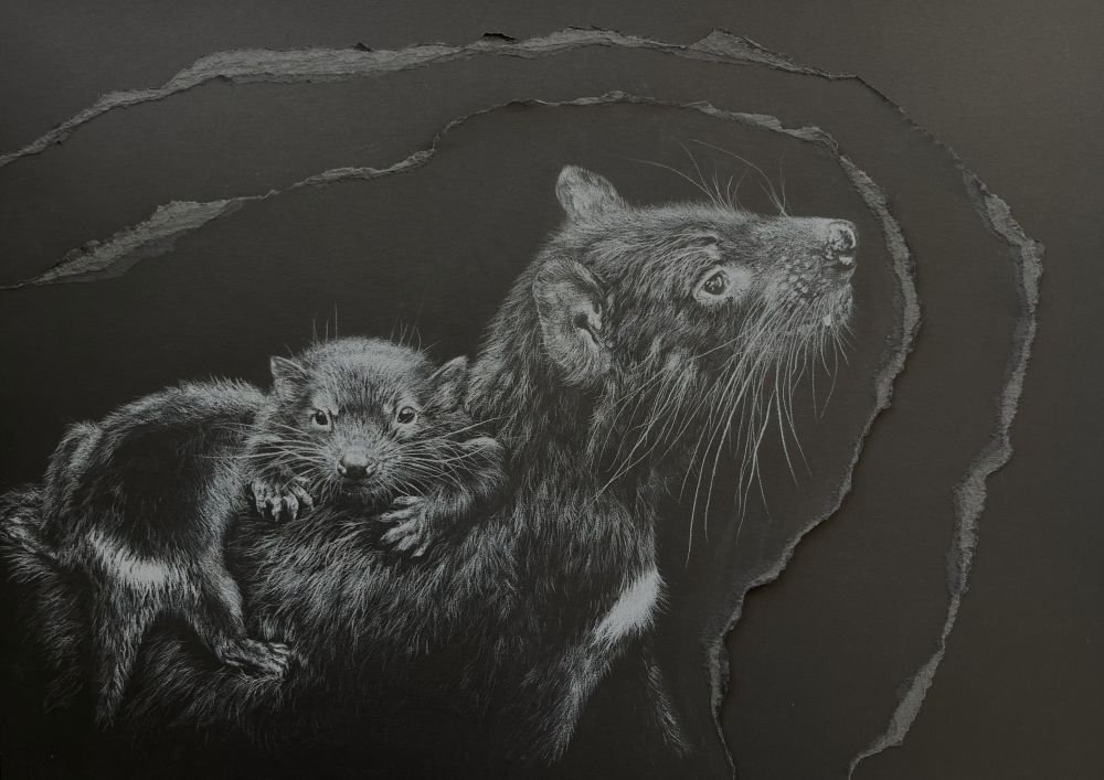 Artwork: Rachel Harris