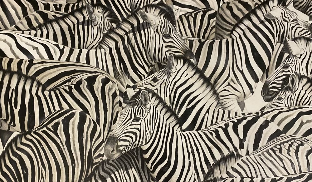 Artwork: Charlotte Cook