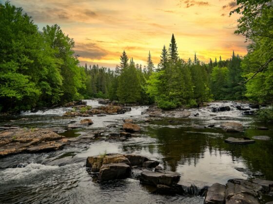 Eco-Friendly Transportation Options