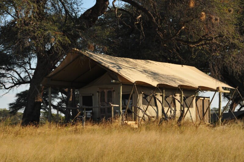 A Practical Guide to Going on Safari