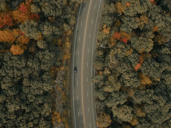 Choosing the Right EV