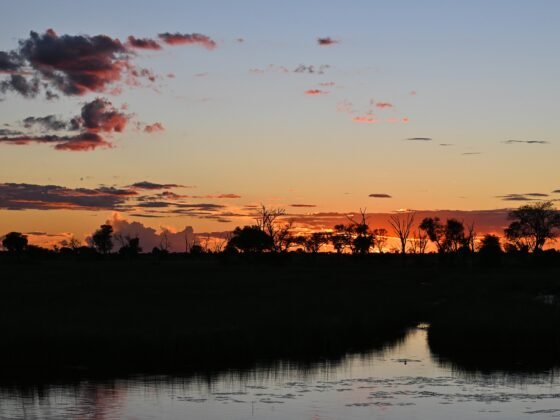 Okavango Delta