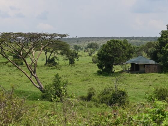 Kicheche Mara position