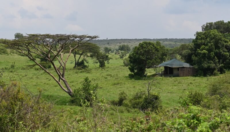 Kicheche Mara position