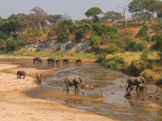 undiscovered tanzania