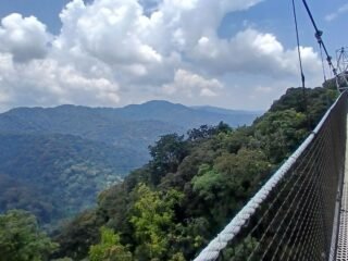 Nyungwe National Park