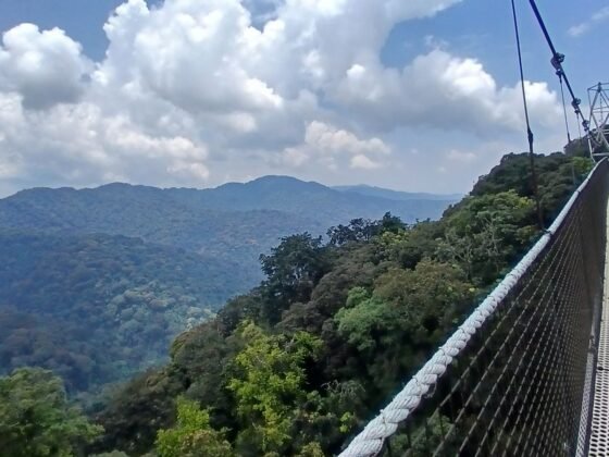 Nyungwe National Park