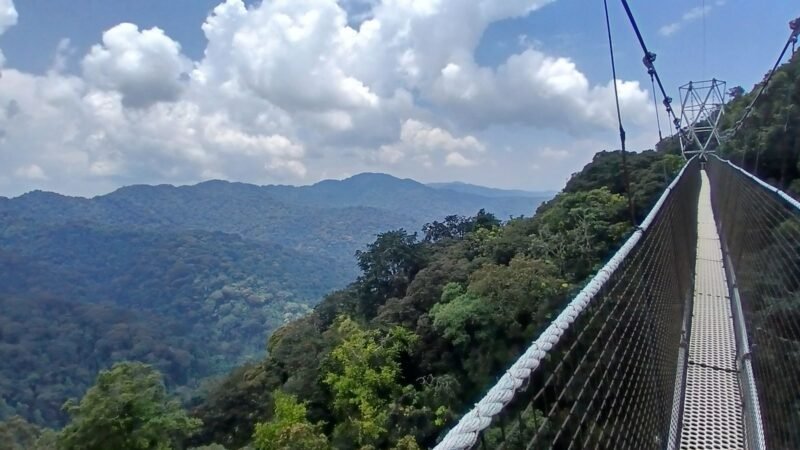 Nyungwe National Park