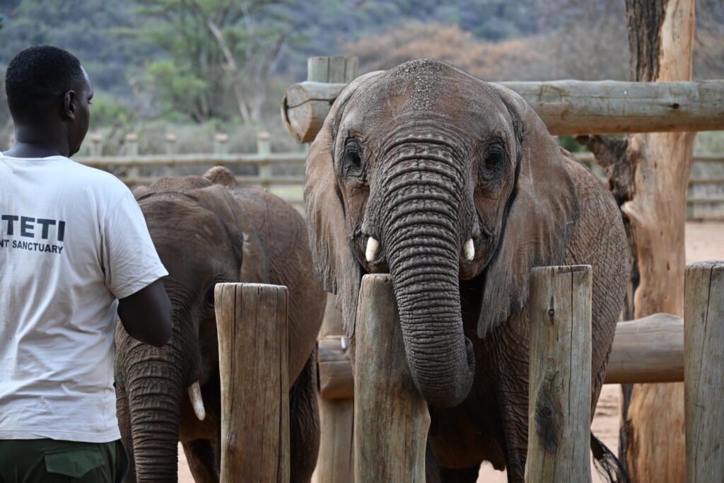 Reteti Elephant Sanctuary