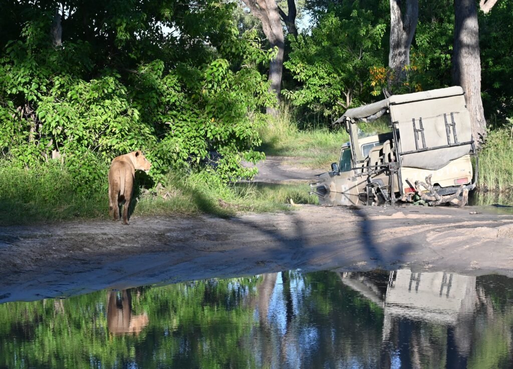 Moremi Game Reserve