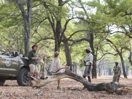 Kaingo Camp