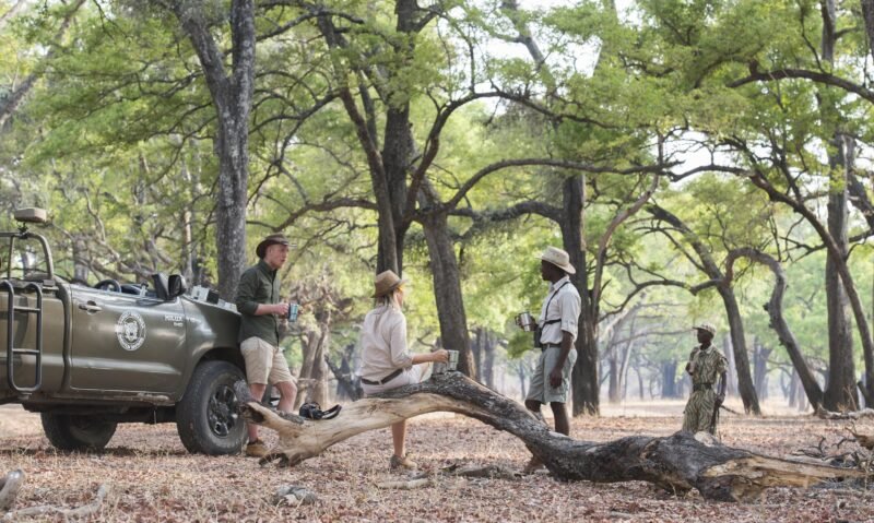 Kaingo Camp