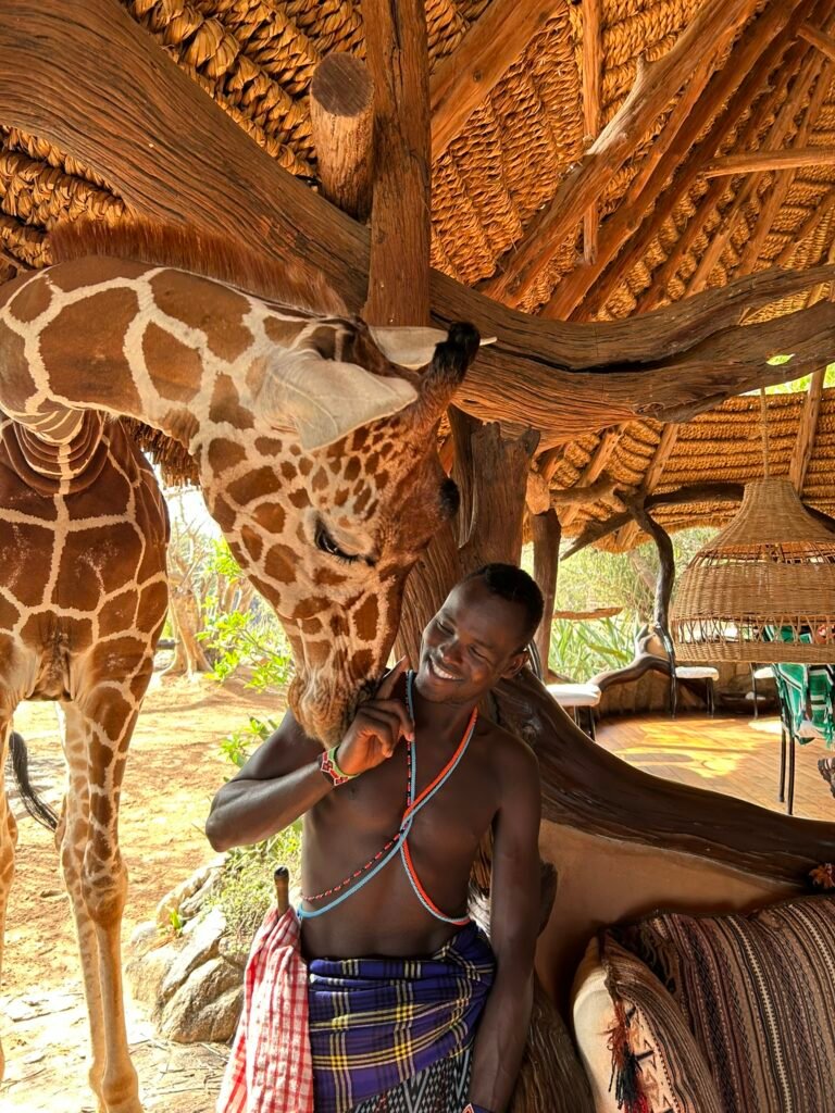 Sarara Camp giraffe