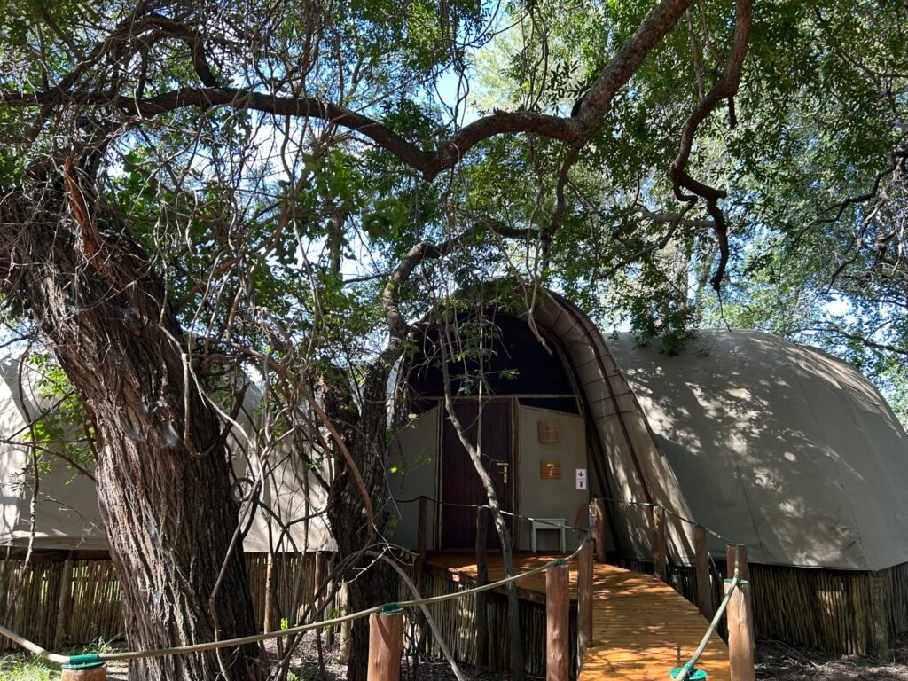 Okuti Camp Family Room