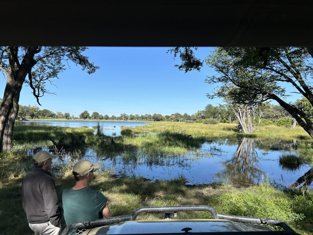 Moremi Mopane woodland