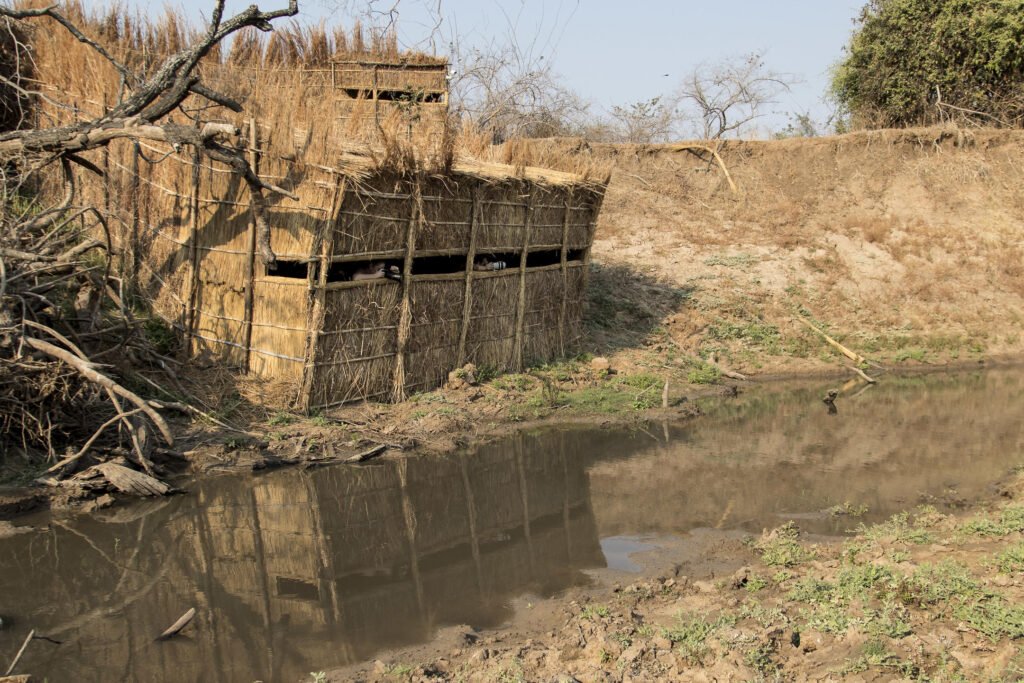 Mwamba Bush Camp Hide