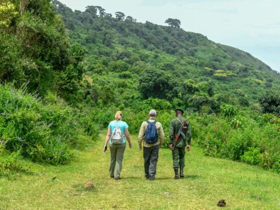 walking safari clothes