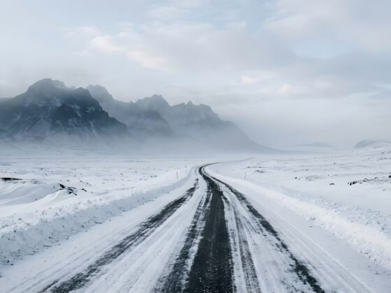 winter landscape
