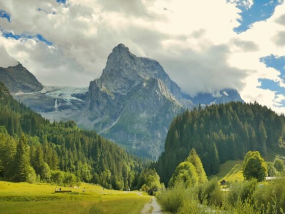 Nature