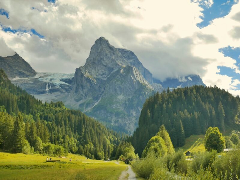 Nature