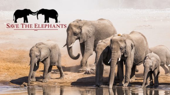 Save the Elephants – Explorers Against Extinction