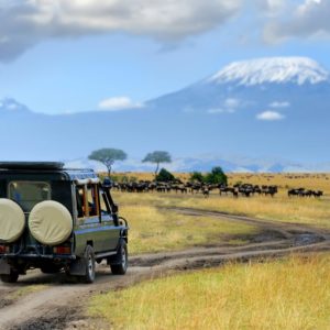 Sustainable Wildlife Tourism in Africa 