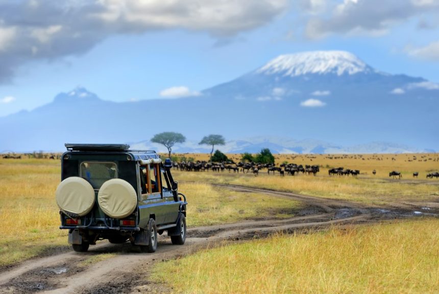 Sustainable Wildlife Tourism in Africa 