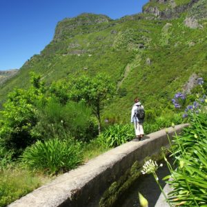 Must-Dos If You Travel to Madeira