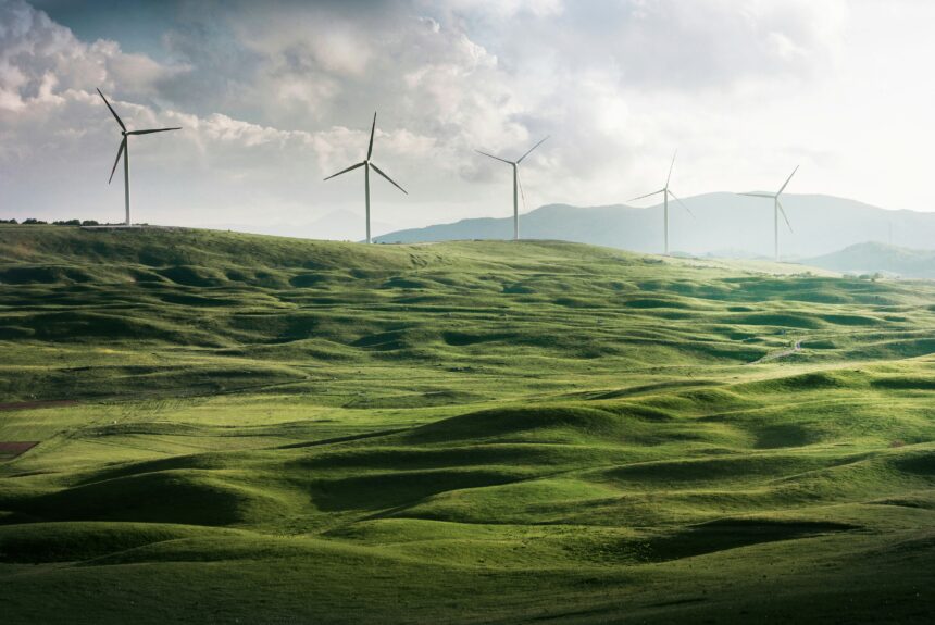 Should you go green? 5 benefits of having an eco-friendly business