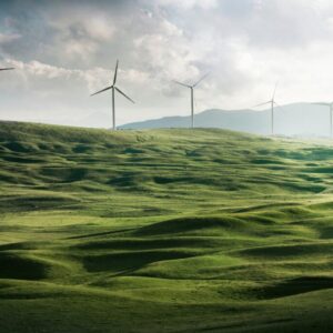 Should you go green? 5 benefits of having an eco-friendly business