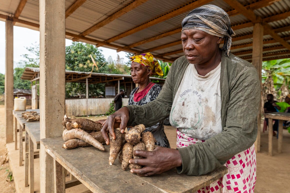 Forest Frontline – Human-Elephant Coexistence in Gabon 