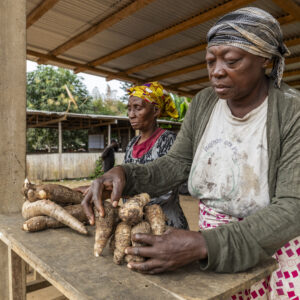 Forest Frontline – Human-Elephant Coexistence in Gabon 