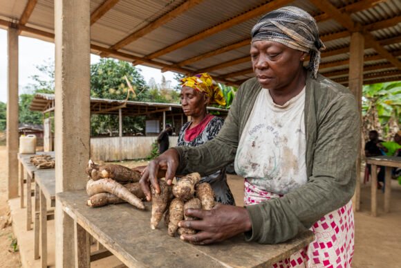 Forest Frontline – Human-Elephant Coexistence in Gabon 