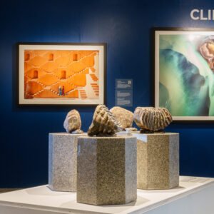 ST204287 Extinction: Renewal – Art of a Living Planet