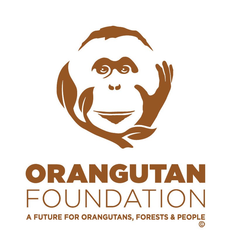 Borneo reforestation